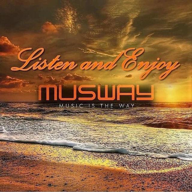 Musway 12-kanals DSP-forsterker