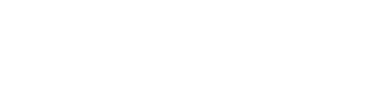 brssandnes.shop