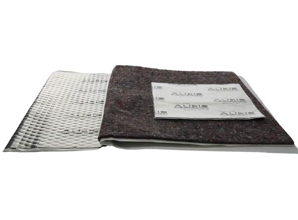 Audio System «DOOR KIT 1.0»