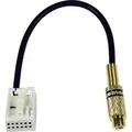 CAS Videoadapter