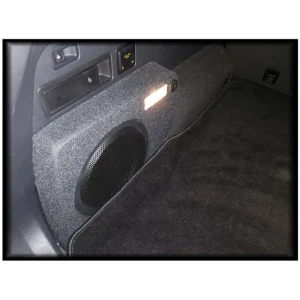 ConnectED Bilspesifikk basskasse 10″